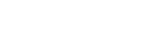 Lizergy