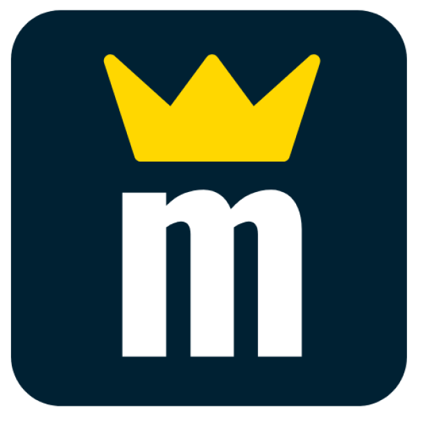 Elektromeister Logo Klein