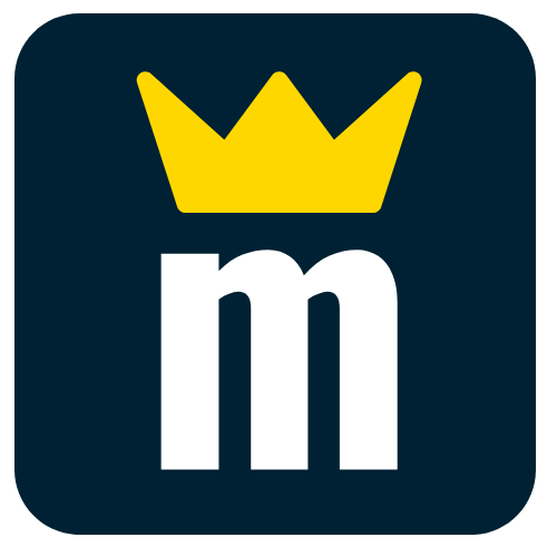 Elektromeister Logo Klein